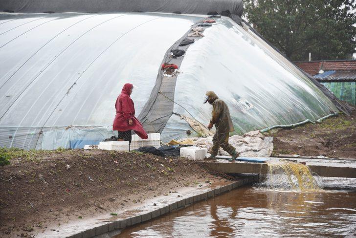 67 yılın en büyük yağışı! Lekima tayfununun acı bilançosu: 48 ölü, 21 kayıp G5