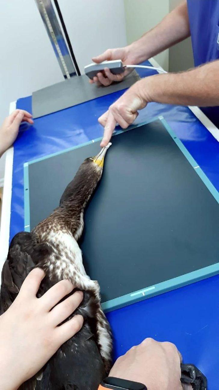 İzmir'de şaşkına çeviren olay! Helikopterler denizden su taşırken almış G1