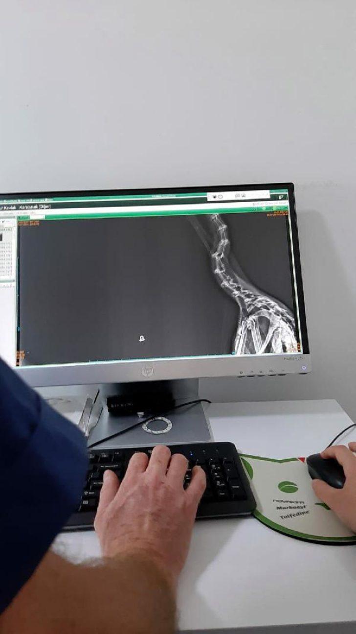 İzmir'de şaşkına çeviren olay! Helikopterler denizden su taşırken almış G2