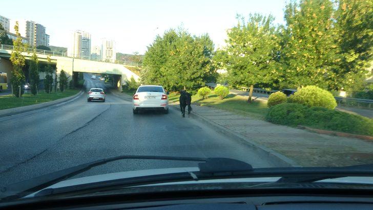 E-5'te kaçan boğa ortalığı birbirine kattı! Peşinde 3 ilçe gezdiler... G3