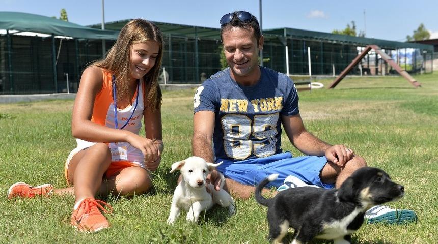 Sokak hayvanları sahiplendirildi