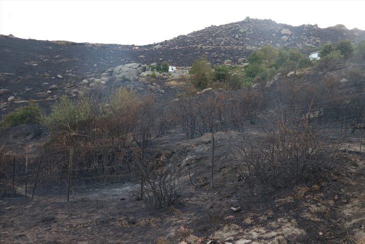 Marmara Adası'ndaki yangının boyutu sabah ortaya çıktı G4