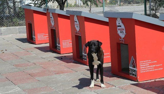 Çankaya Belediyesinin dost eli onların yanında