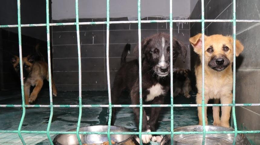 &Ccedil;ankaya Belediyesinin dost eli onların yanında