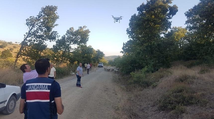 Biga&rsquo;da kaybolan 56 koyunu jandarma buldu