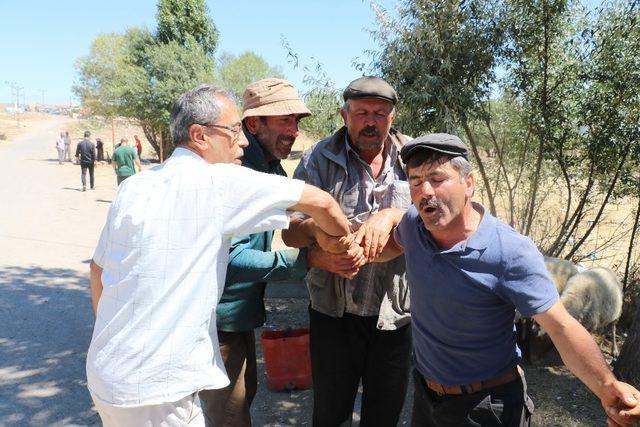 Kurbanlık fiyatları son günde yarı yarıya düştü