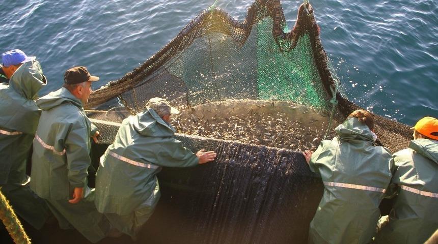 Samsun deniz avcılığının merkezi oldu