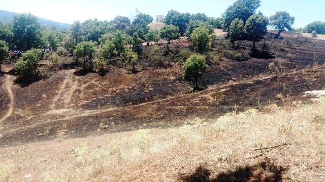 Hisarcık’taki arazi yangını yerleşim alanına sıçramadan söndürüldü
