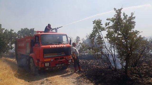 Ormanlık alanda yangın