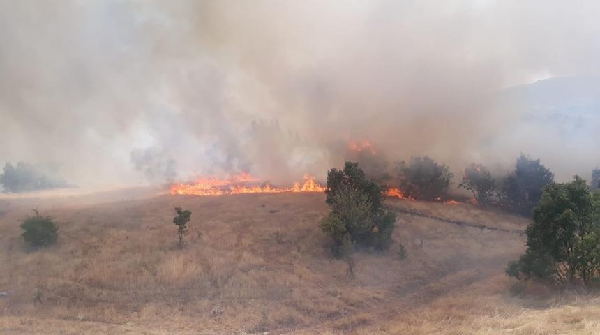 Ormanlık alanda yangın