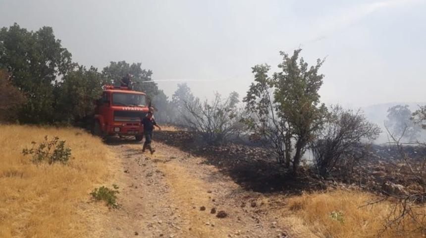 Adıyaman'da ormanlık alanda yangın!