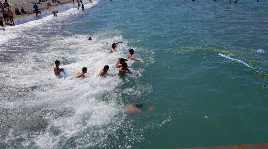 Denizden defne yaprağı toplama yarışması