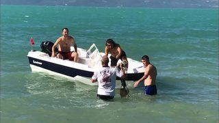 GÜNCELLEME - Serinlemek için girdiği gölde kayboldu