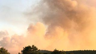 GÜNCELLEME - Eskişehir'de orman yangını