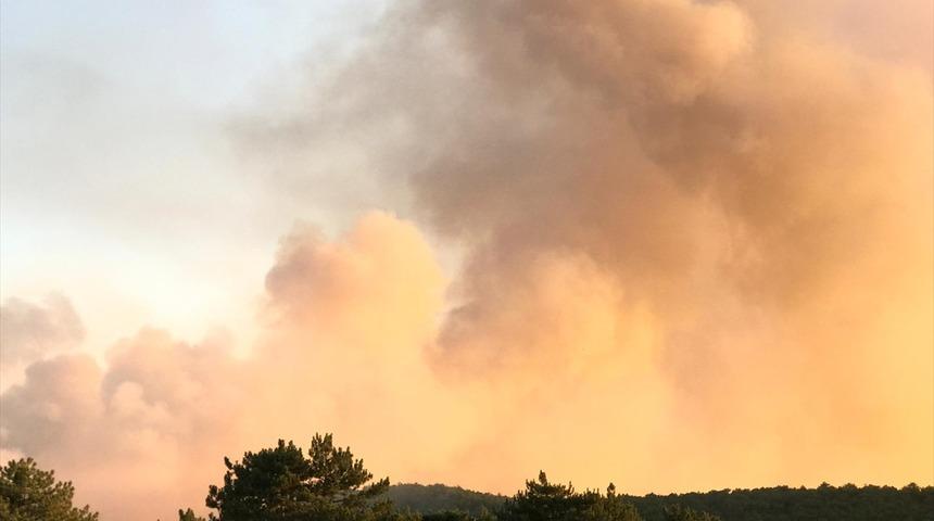 GÜNCELLEME - Eskişehir'de orman yangını