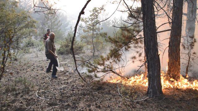 Eskişehir’de orman yangını (2)