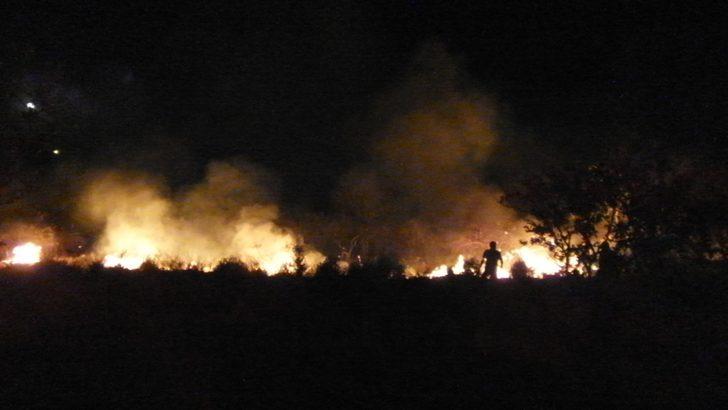 Burhaniye'de yüzlerce meyve ağacı kül oldu G1