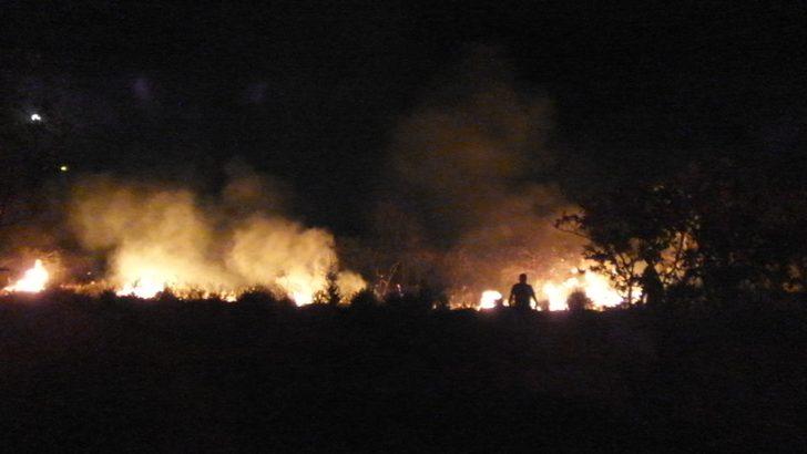 Burhaniye'de yüzlerce meyve ağacı kül oldu G2