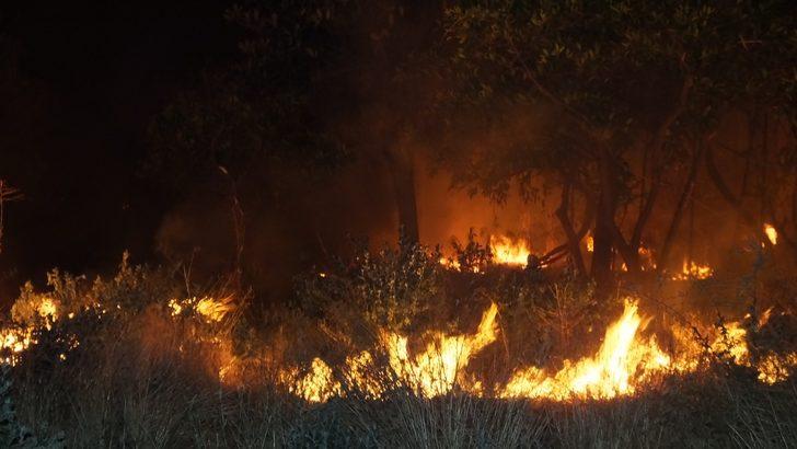 Burhaniye'de yüzlerce meyve ağacı kül oldu G3
