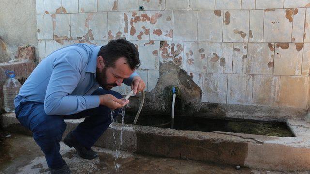 Membu suyu birçok hastalığa iyi geliyor