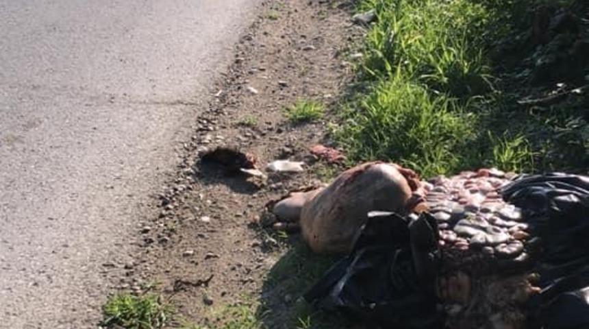 &Ccedil;evreye atılan kurban atıklarına vatandaşlardan tepki