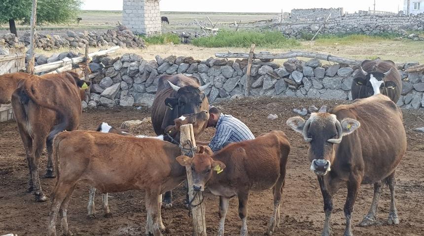 Sindelh&ouml;y&uuml;k&rsquo;te besicilerin yoğun mesaisi