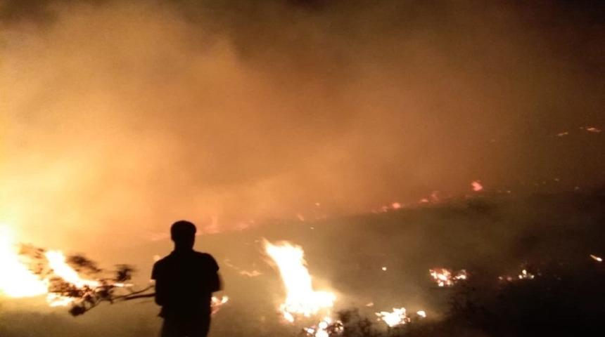 Ot yangını evlere sıçramadan söndürüldü