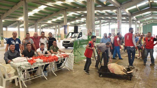 Kurban Bayramı Tepabaşı’nda huzur içinde geçti