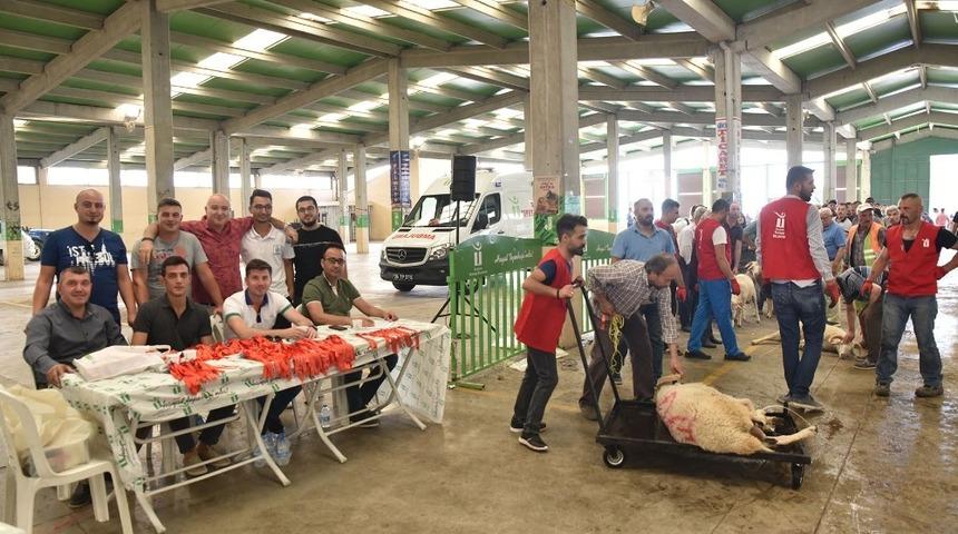 Kurban Bayramı Tepabaşı’nda huzur içinde geçti