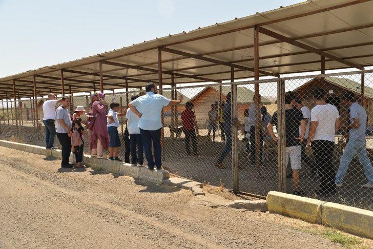 Diyarbakırlı vatandaşlardan Hayvan Bakımevi ve Rehabilitasyon Merkezi’ne ziyaret G2