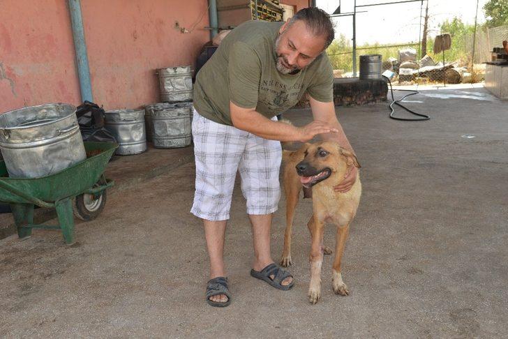 Diyarbakırlı vatandaşlardan Hayvan Bakımevi ve Rehabilitasyon Merkezi’ne ziyaret G3