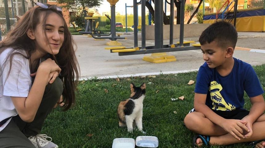 Minik y&uuml;reklerden sıcaktan bunalan yavru kediye can suyu