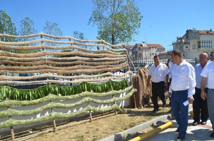 Alaçam’da 1. Tarım Fuarı ilgi gördü G2