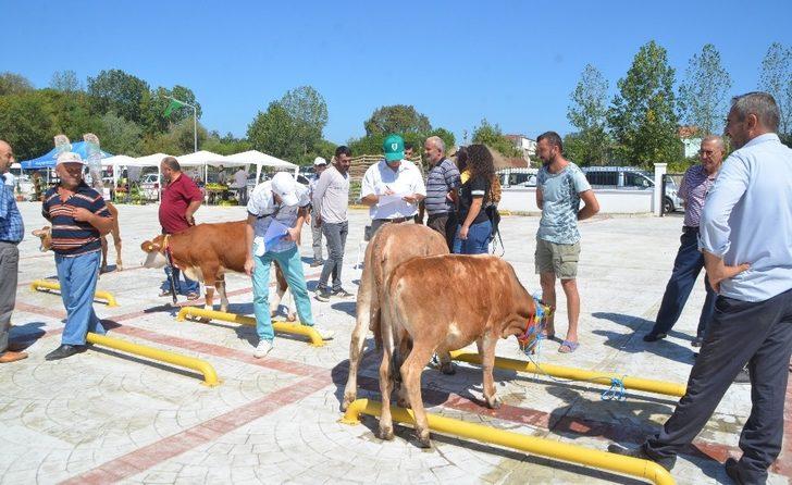 Alaçam’da 1. Tarım Fuarı ilgi gördü G3