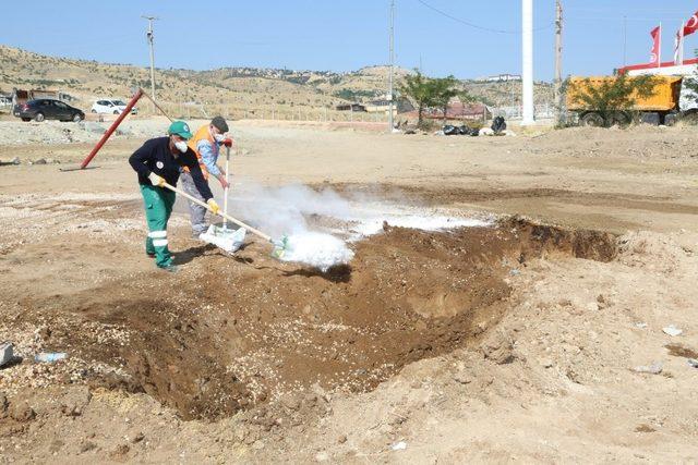 Elazığ’da  hayvan satış ve kesim yerleri temizlendi