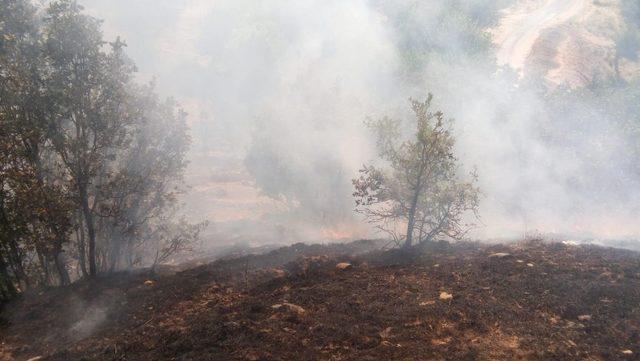 Bingöl’de 2 köyde  çıkan yangın söndürüldü