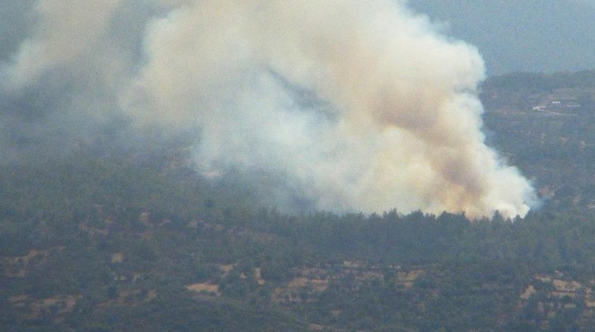 Milas’ta orman yangını