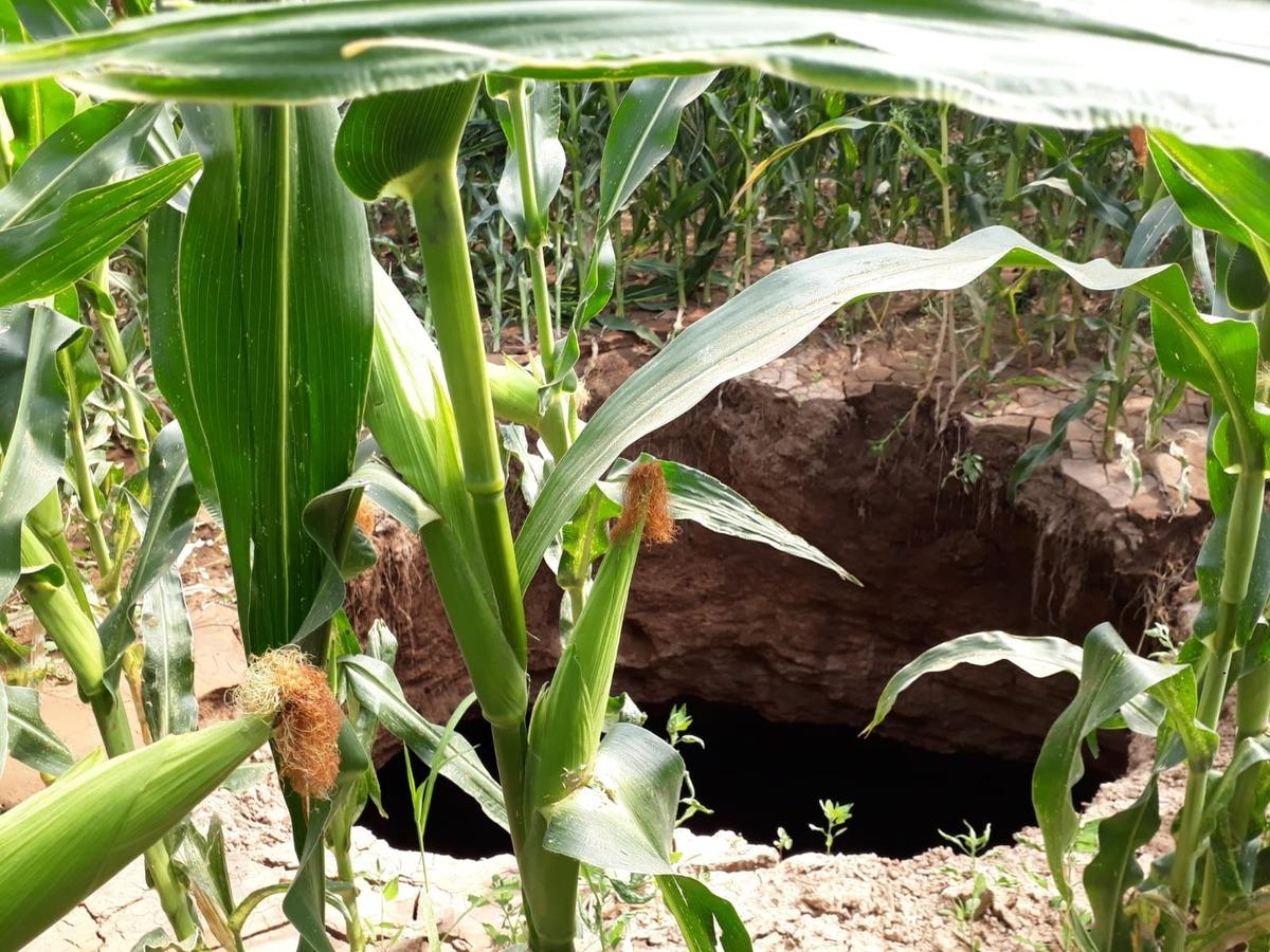 Konya&rsquo;da korkutan obruk