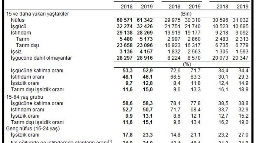TÜİK- İşsizlik yüzde 12.8'e, tarım dışı işsizlik yüzde 15'e çıktı (2)