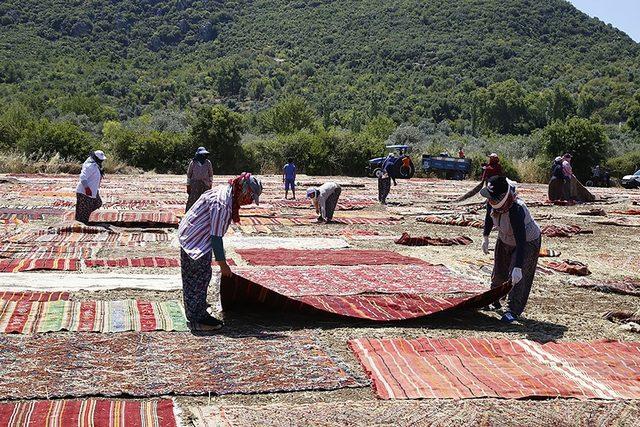 Döşemealtı’nın halı tarlaları dünya basınında