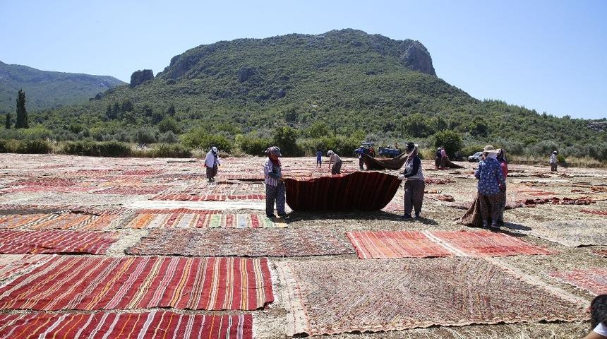 Döşemealtı’nın halı tarlaları dünya basınında