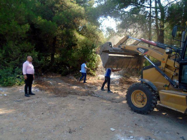 Kurbanlıkların derisi ile sakatatlarını ormana atmışlar