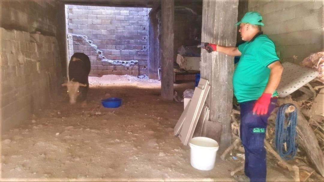 B&uuml;y&uuml;kşehir Kurban Bayramı&rsquo;nda yoğun mesai harcadı