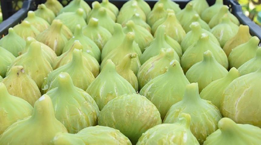 Torbalı&rsquo;da "Bardacık İnciri Festivali"