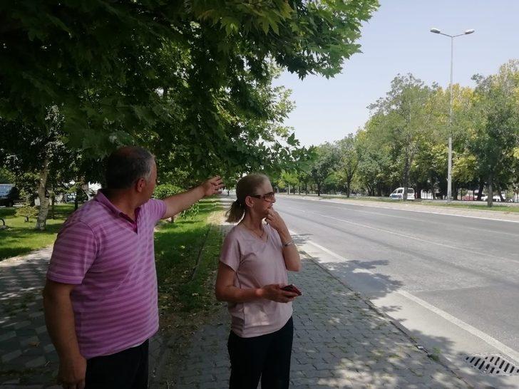 Mahallelinin ‘Kaza’ isyanı G1