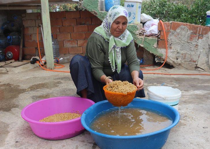 150 yıllık taş değirmenden bulgur yapıyor G5
