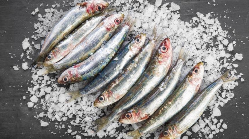 Şimdi tam zamanı: Bol bol sardalya yemeniz için 6 neden