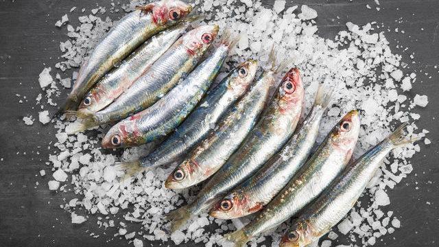 Şimdi tam zamanı: Bol bol sardalya yemeniz için 6 neden