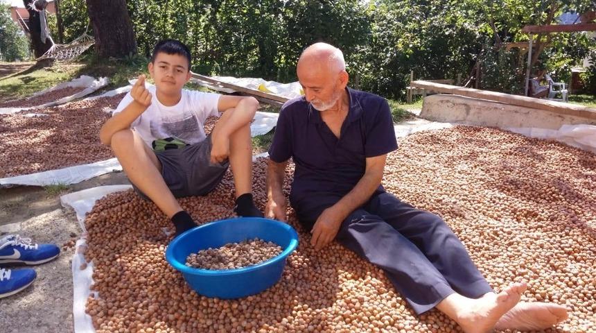 Fındık üreticilerinin harman nöbeti