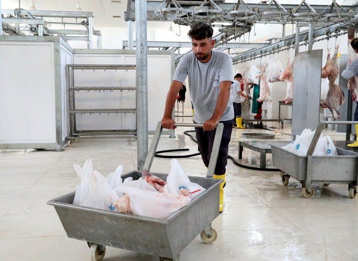 Büyükşehir Belediyesi halk plajları, bayramda 50 bin tatilciyi ağırladı G3